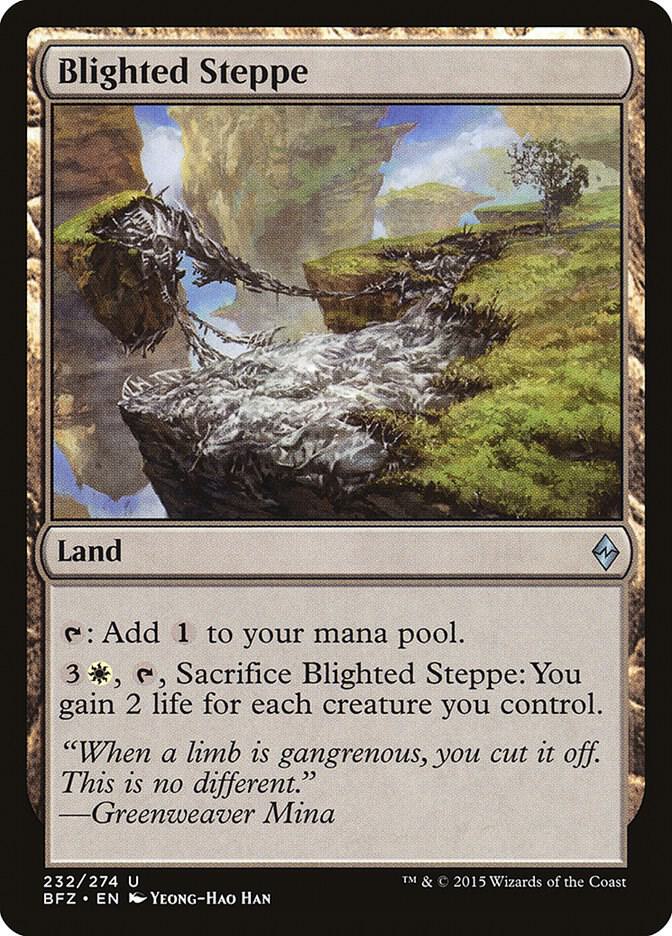 Blighted Steppe | Battle for Zendikar #232