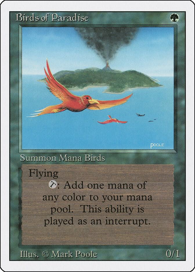 Birds of Paradise | Revised Edition #unknown