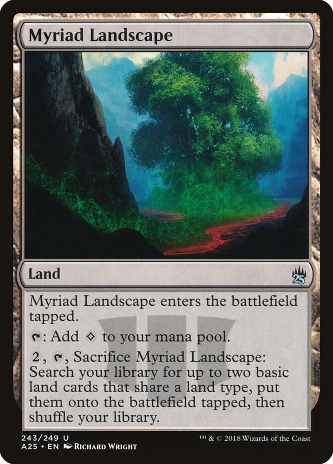 Myriad Landscape | Masters 25 #243