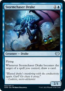 Stormchaser Drake | Innistrad: Crimson Vow #82