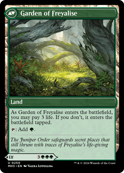 Disciple of Freyalise // Garden of Freyalise | Modern Horizons 3 #250